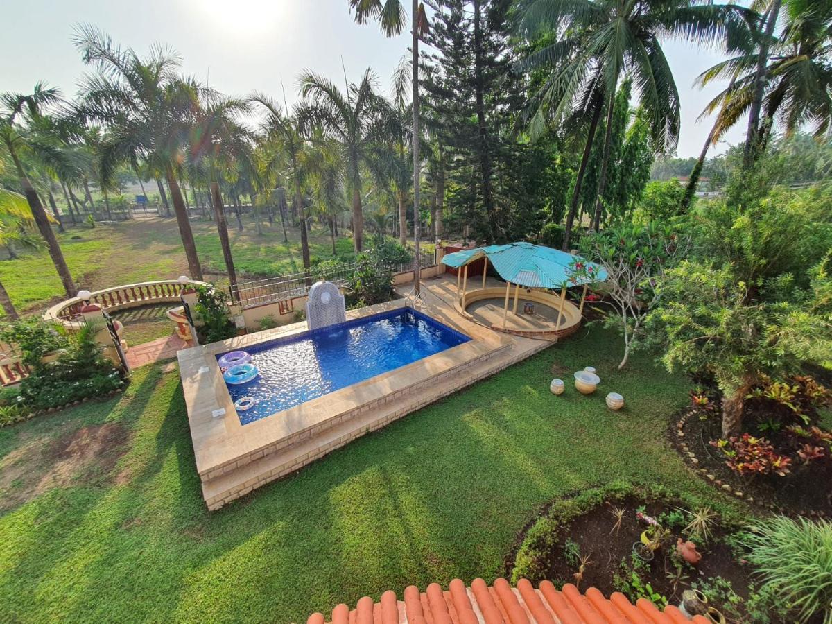David Villa Nerul  Bagian luar foto